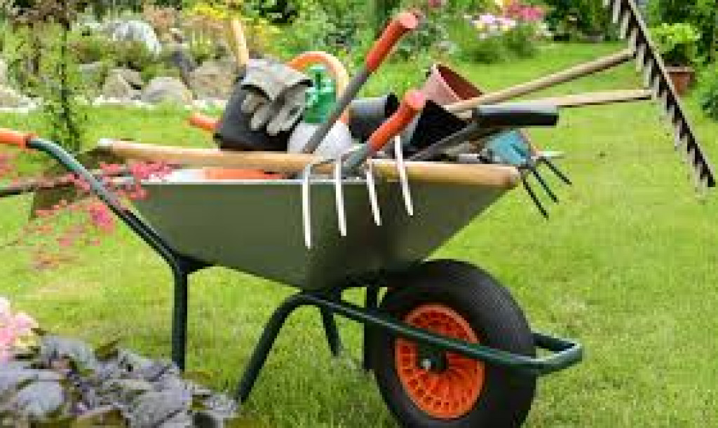 3. Platzaufräumaktion