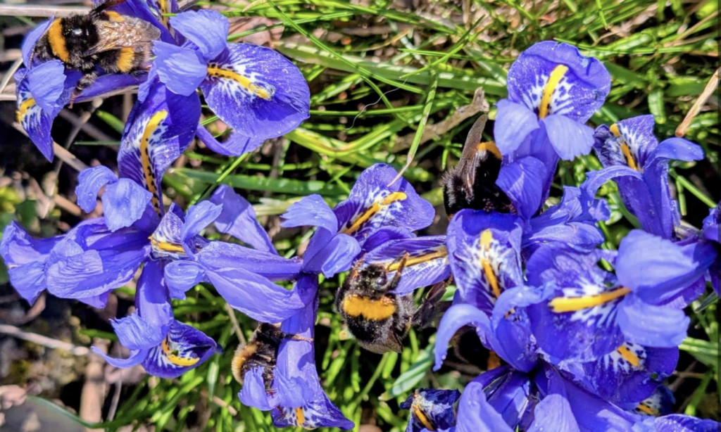 Frühlingsempfang 2026 des Golfclubs Kassel