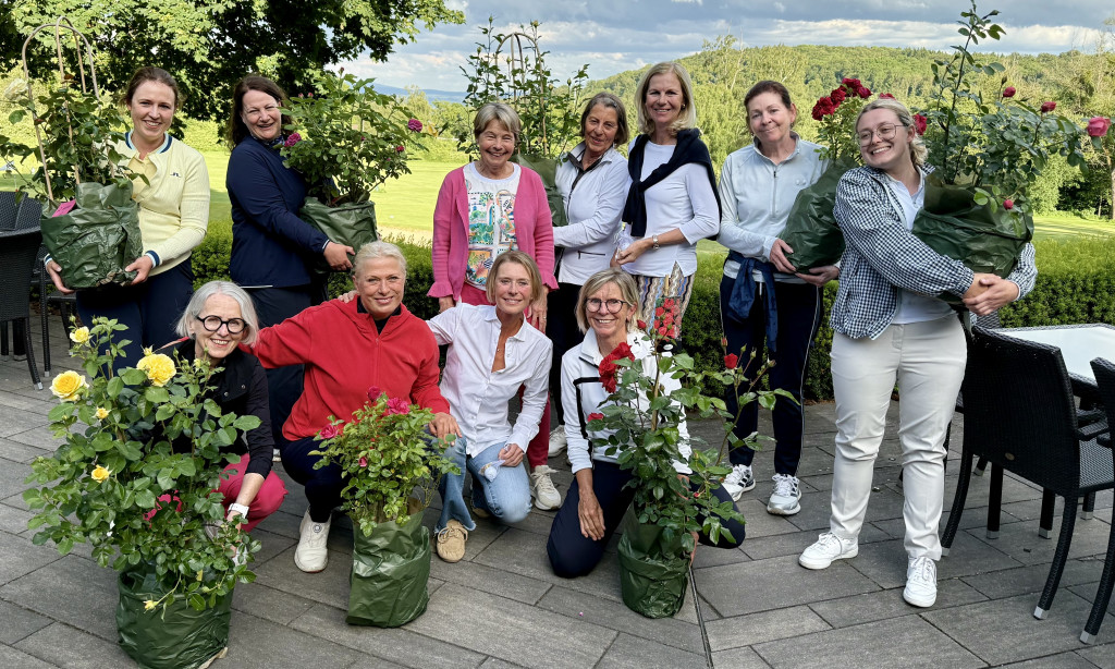 Nach kurzem Regen regnete es Rosen …